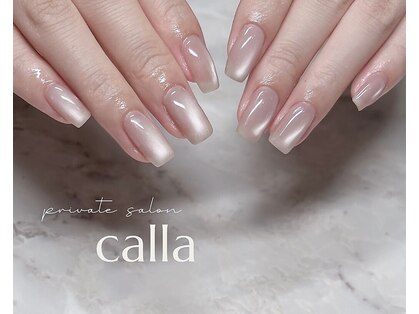 カラー(calla)の写真