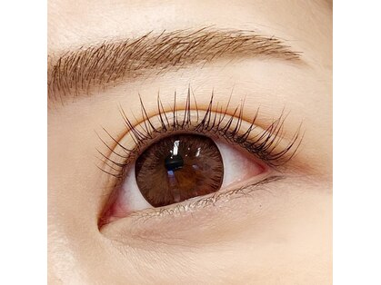 ロイヤルアイラッシュ(ROYAL eyelash)の写真