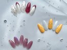 大人可愛い定額デザイン