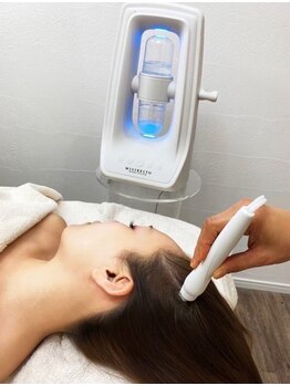 ルピナス(salon de Lupinus)/