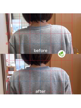 カイロプラクティック ネクサス/姿勢の歪み撃退☆