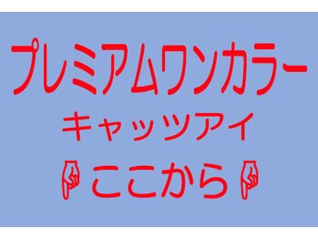 マイ スタイル ネイルズ(My Style Nails)/６プレミアムワンカラージェル