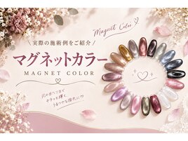マグネットカラー