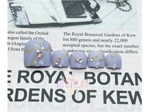 アネモネ(ANEMONE)/ハートネイル☆