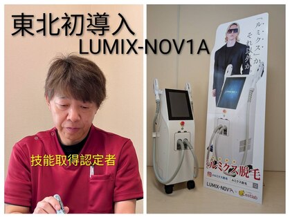 フォーティーワン(FORTY-ONE)の写真