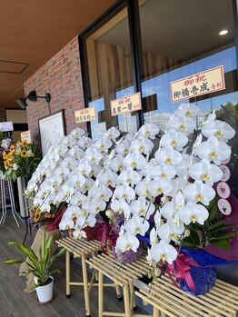 エムスリー つくば店(M3)/開店祝い