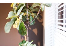 コルミチョン サロン(骨美整 salon)/サロン内観