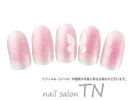 4月季節の定額5900円