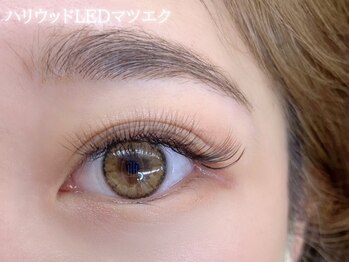 アイデュース 羽広店(eyeduce)/ハリウッドLED 6D 300本