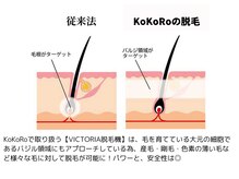 ココロ(KoKoRo)の雰囲気（熊谷エリア唯一のVICTORIA脱毛機導入サロン　行田/深谷/東松山）