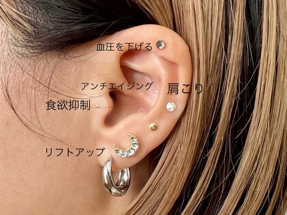 ライム ユー(Lime/YOU)の写真