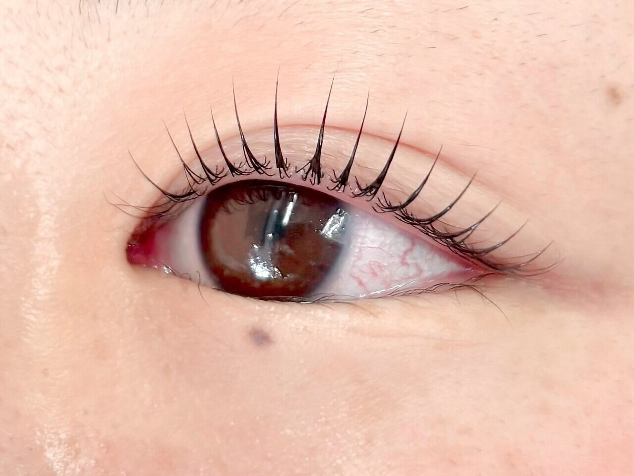 Jrアイリスト限定クーポン【まつげパーマ＋キューティクルTr】￥3500