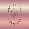 カナエル(CANAEL)のお店ロゴ