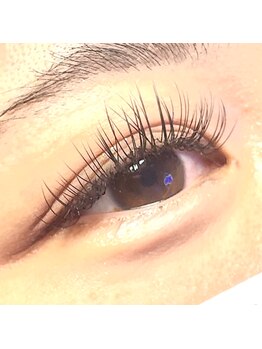 ボス(VOSS)/フラットラッシュ140本