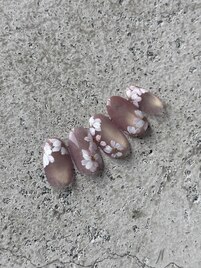 マグ×フラワー