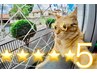 ★クチコミ投稿★メニュー組み合わせ自由《ALLメニュー10％OFF》※一部除く