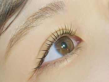 ネイルアンドアイラッシュ シャトン(Chaton)の写真/自然に盛れる◎学生さんはもちろん！ご旅行前にお洒落で上品なお目元に♪.+(学割¥3800/その他¥4000～)