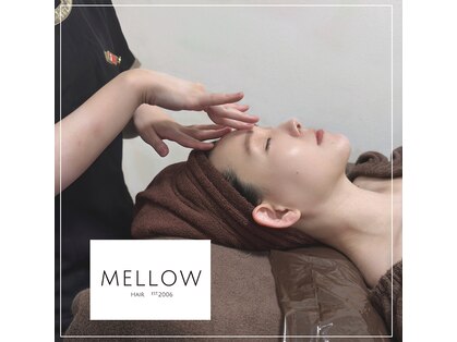 メロウ ヘア エスト2006(MELLOW HAIR EST2006)の写真