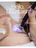 【新導入記念】LEDフラットラッシュ120本通常8800円→7700円