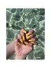 【HAND】Jr.ネイリスト限定 ワンカラー 4950円