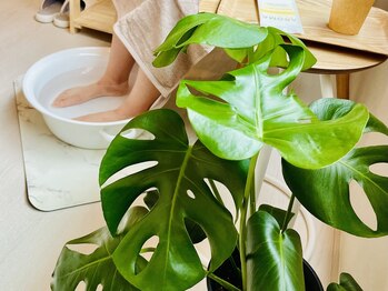 チル アンド リラックス(Chill and Relax)/全てのお客様にフットバス。