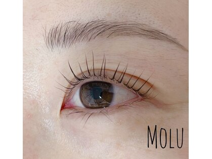 モル(Molu)の写真
