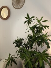 オージャススパ/