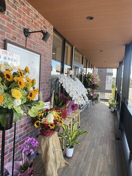 エムスリー つくば店(M3)/開店祝い