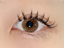 パキラ(Pachira)/→束感バージョン