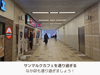 アントルーチェ 代々木上原(Entluce.)/まっすぐ進みましょう