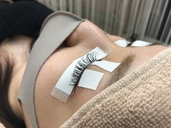 風見鶏/フラットラッシュ120本Dカール