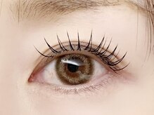 ホクメリア(hoku/melia)/フラットラッシュ100本