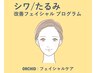 《ほうれい線・しわ・たるみ》肌質改善+イオン導入+バイオマスク+マッサージ