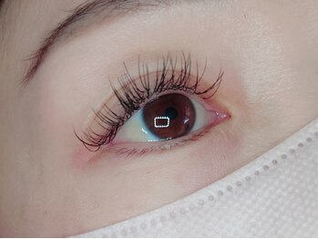 アポストロフィエス/フラットラッシュつけ放題