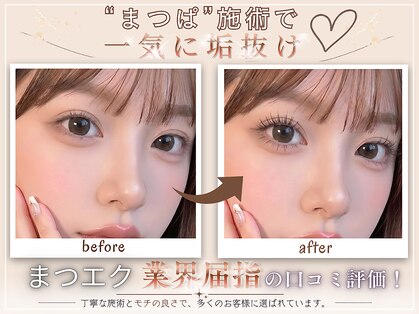リラ(Lilas)の写真