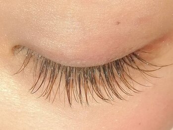 ロージー(Rosie)/ブラウン3色