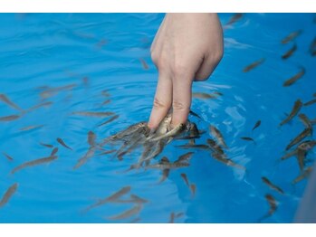 大足スパ 上野 御徒町(BIG FOOT SPA)/フィッシュハンドマッサージ