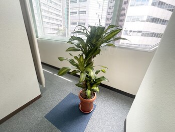 アクアバランス整体×クロワ/