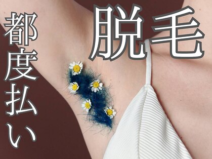 テリー(Terry)の写真