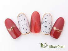 エリクサーネイル 心斎橋(Elixir Nail)/定額bカジュアル/クーポン使用