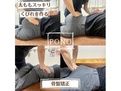 ポノ(Pono)の写真