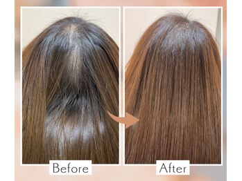 リノア(Linoa)/ヘアアップエクステ400本