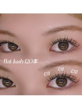 ラニ(Lani)/フラットラッシュ120本