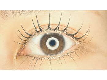 アロンアイラッシュ 池袋(Aron Eyelash)の写真/【L3リフト】高濃度トリートメント×似合わせカールでモチ◎毛質◎の自瀬在まつ毛パーマ！