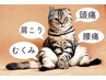 【2回目以降の方専用★】枠取りクーポン♪