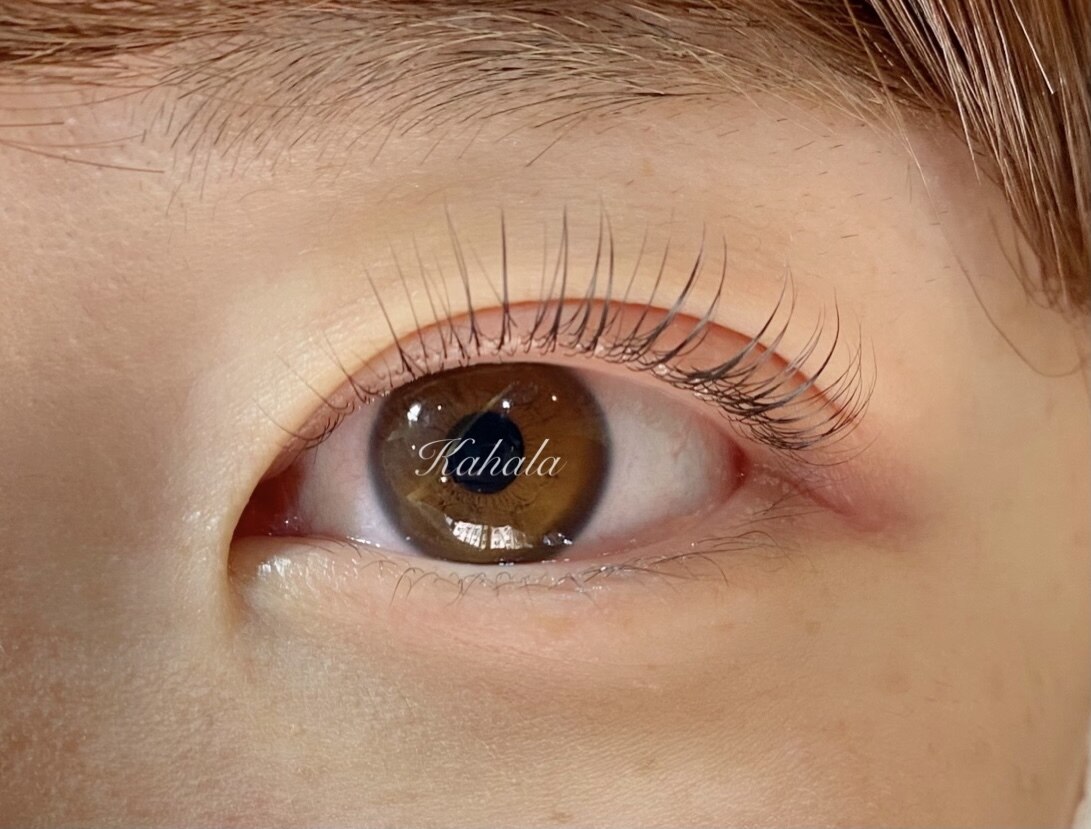 パリジェンヌラッシュリフト　6600円