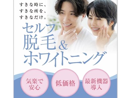 ソラ(SORA)の写真