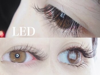 ボニータ(BONITA)/