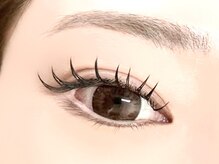 リブレ(Libre)/ダブルフラット80束(160本)