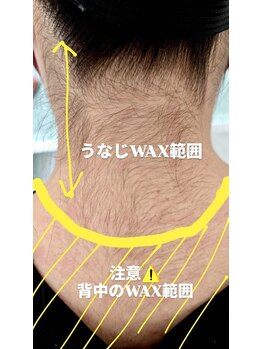 アルマサロン 菊陽(Almasalon)/ムダ毛スッキリ!　うなじ美人